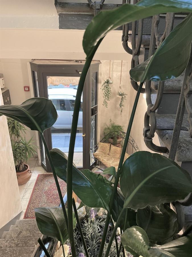 Hotel Leopolda Firenze Eksteriør billede